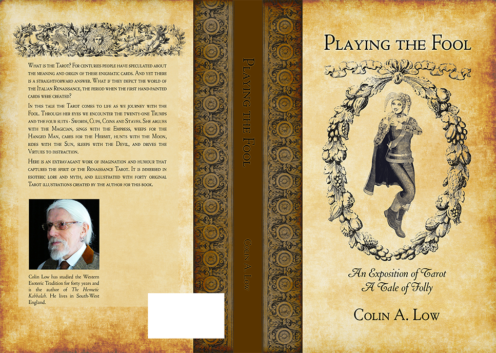 Cover for Playing the Fool